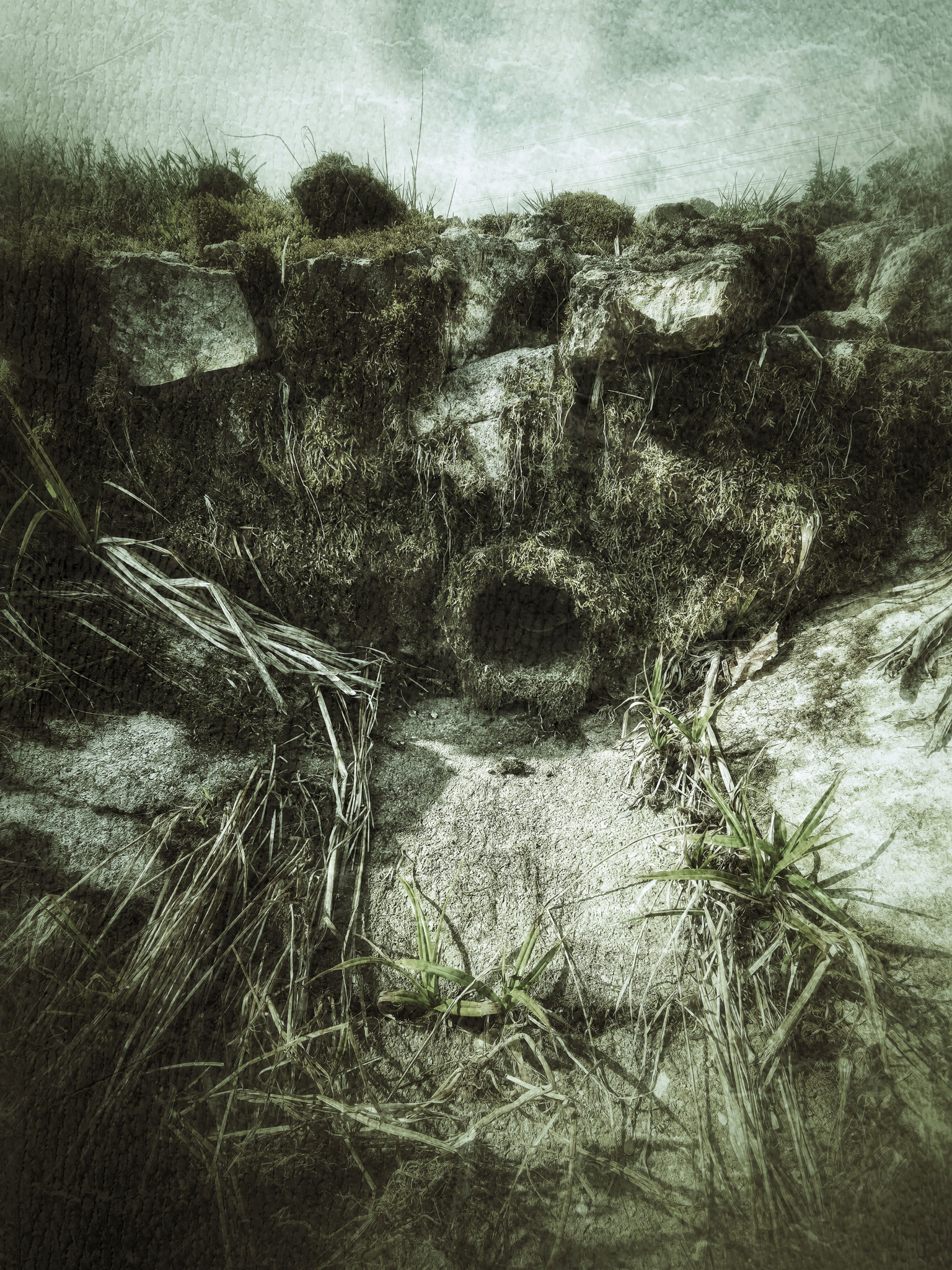 Die Feldquelle im Steigerwald